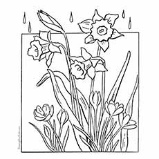 Flowers blooming in spring coloring pages