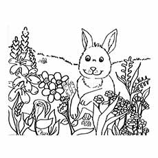 兔子和花儿，春天的涂色页