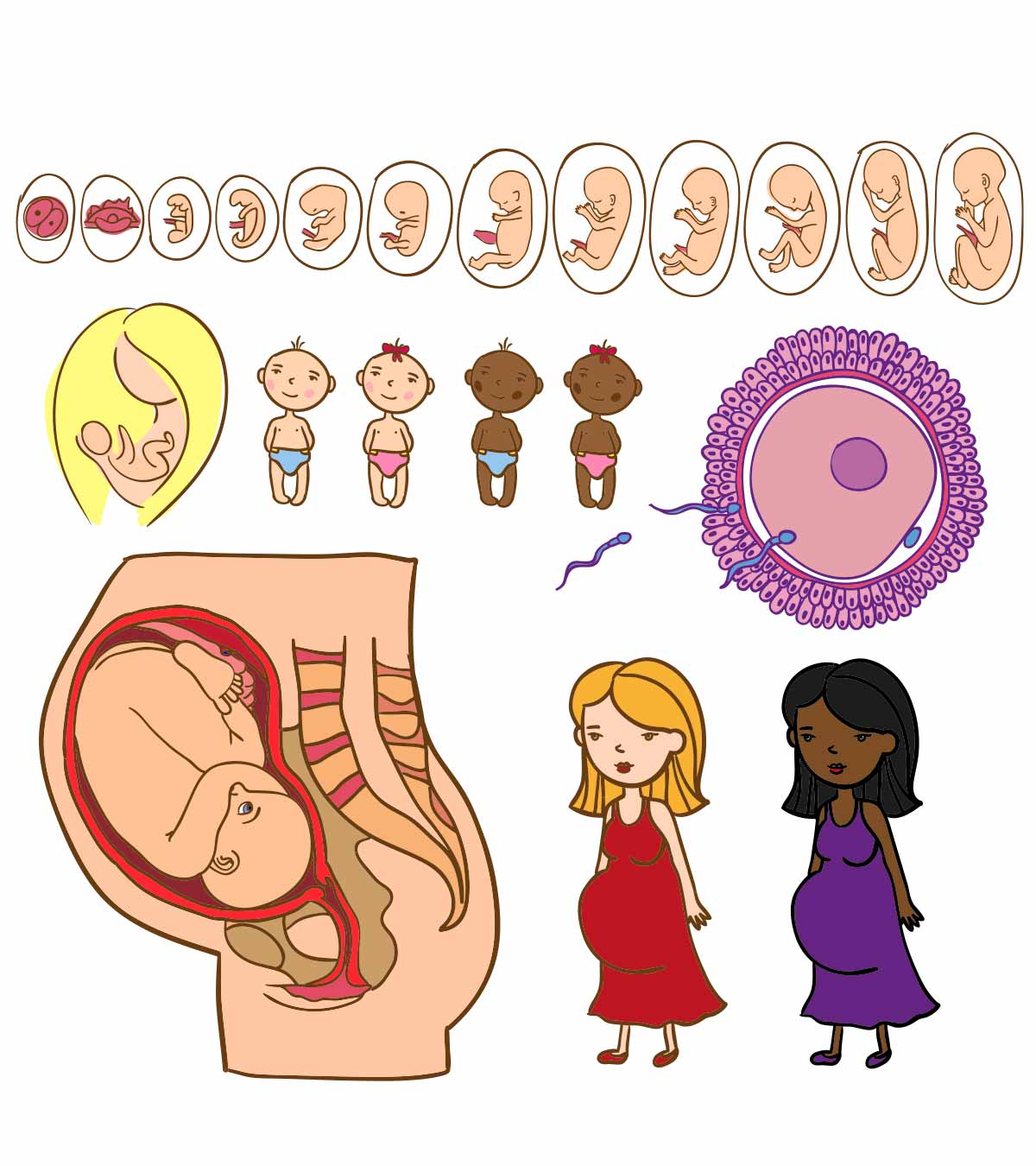 怀孕的5个阶段:每个月的发展和变化