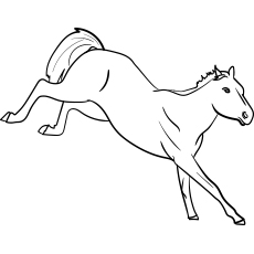 Bucking-Horse
