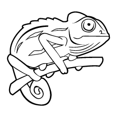 Chameleon on tree coloring page