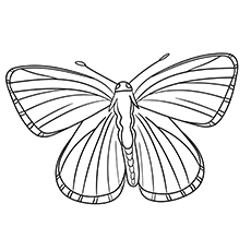 Lycaenidae Butterfly coloring page