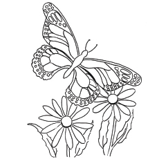 Flying Queen Butterfly coloring page