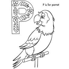 鹦鹉，字母P涂色页