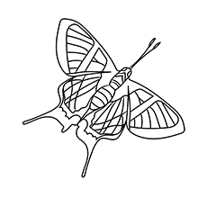 Sylphina Angel Butterfly coloring page