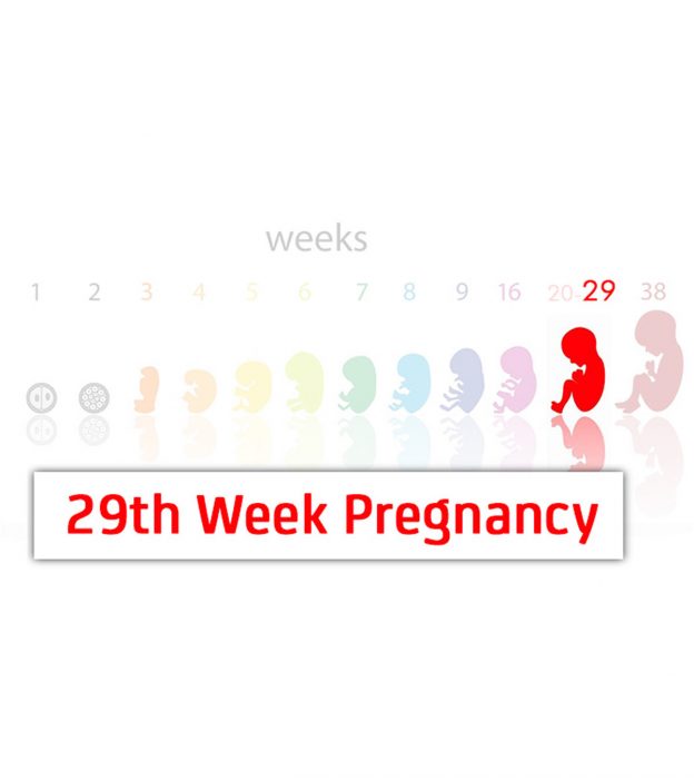 怀孕29周:症状，身体变化和婴儿发育