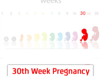 妊娠第30周