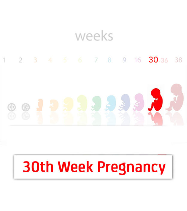 怀孕30周:婴儿发育，症状和提示