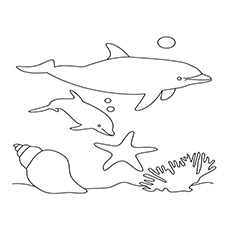 母亲和她的孩子海豚涂色页