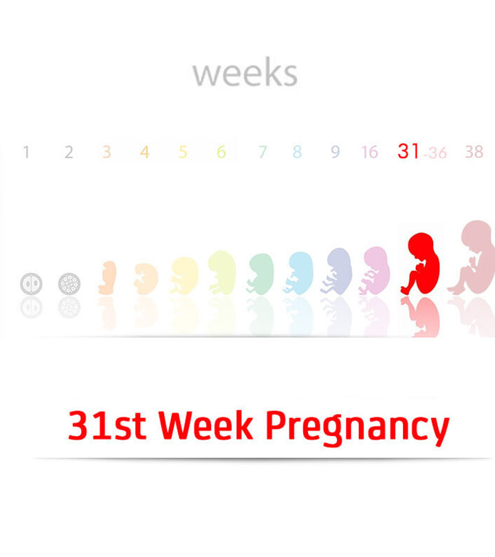 怀孕31周:症状和婴儿发育