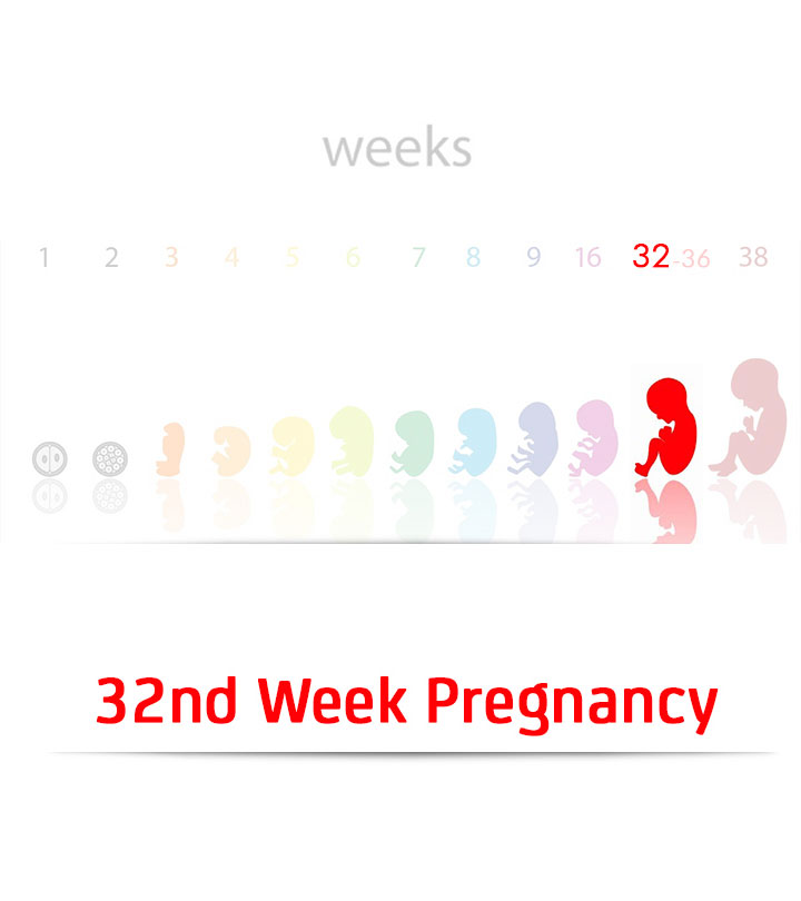 怀孕32周:症状，婴儿发育和变化