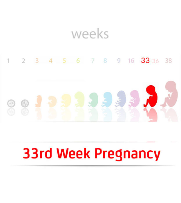 怀孕33周:迹象，婴儿发育里程碑和提示