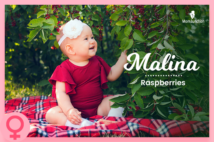 Malina是希腊名字Melina的变体