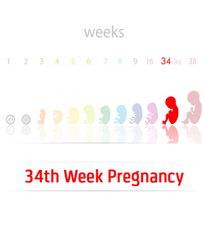 第34周怀孕:症状，婴儿大小和提示
