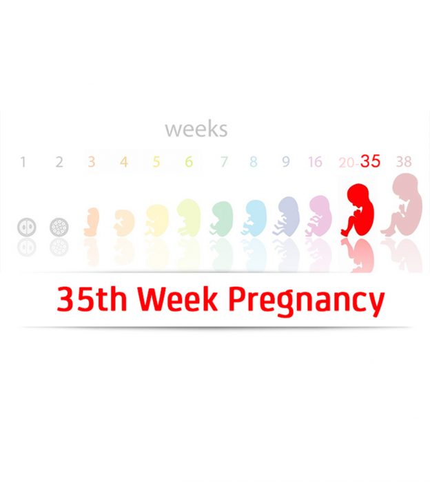 第35周怀孕:症状，婴儿发育和提示