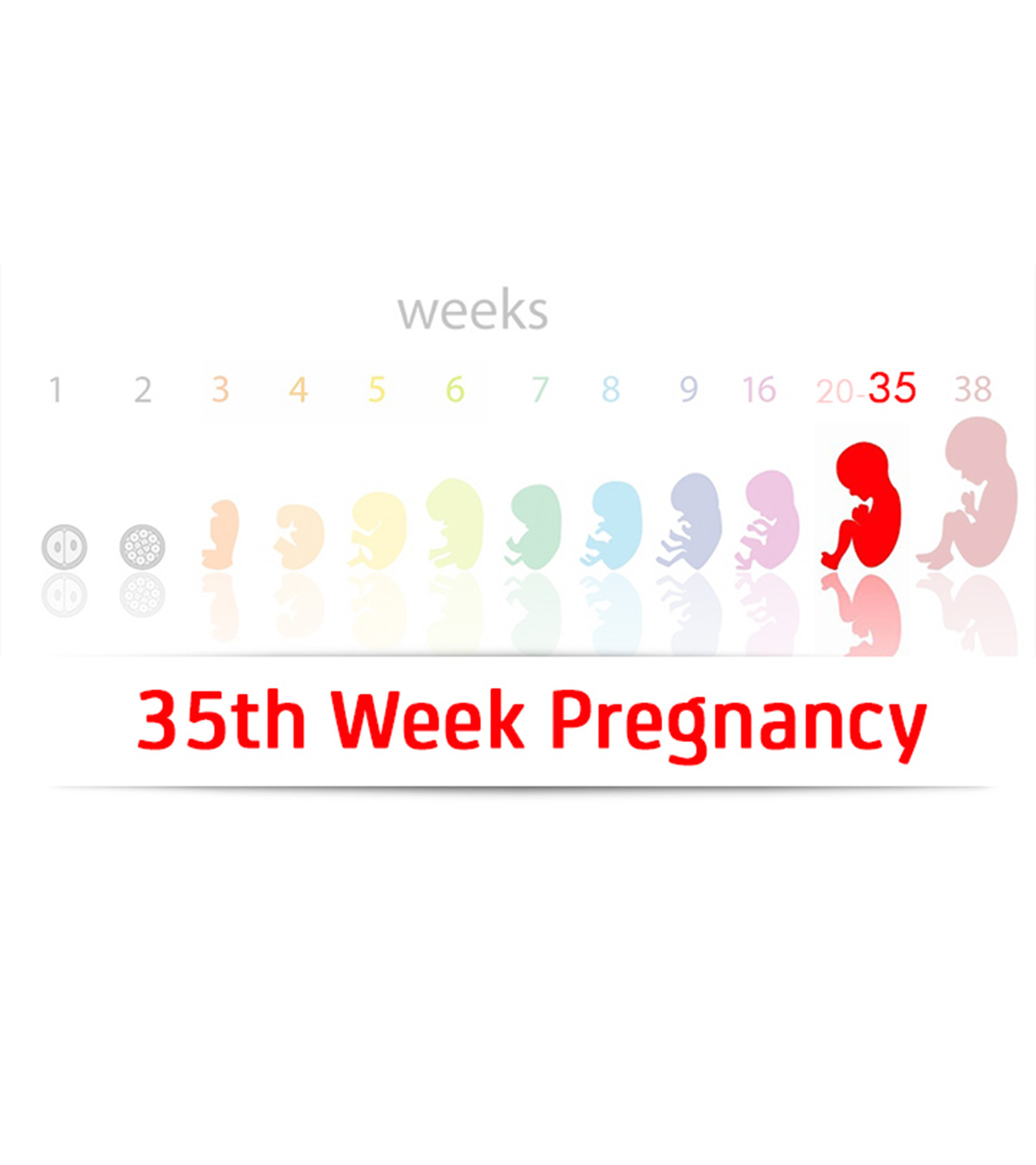 第35周怀孕:症状，婴儿发育和提示