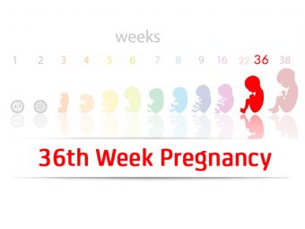36 th-week-pregnancy