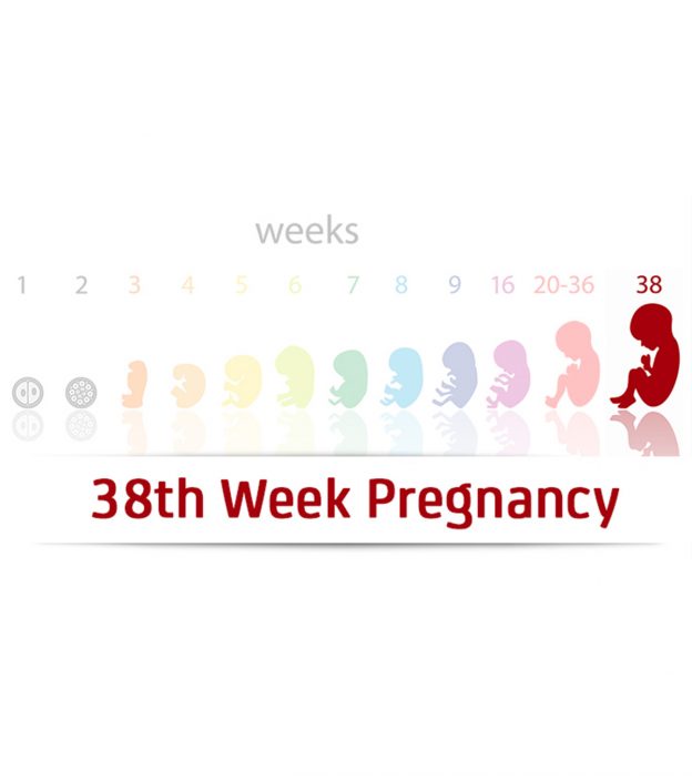 第38周怀孕:症状，婴儿发育和提示