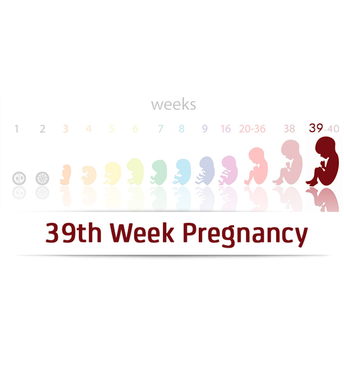 第39周妊娠:体征，婴儿发育和胎动