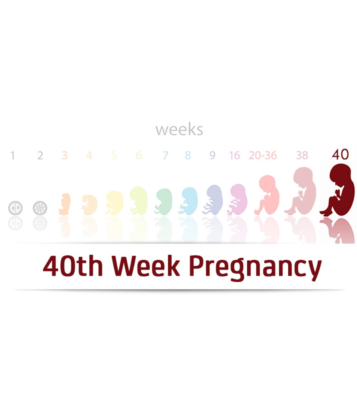 第40周怀孕:症状，婴儿发育和提示