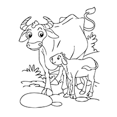 水牛妈妈和小牛涂色页