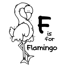 F代表火烈鸟着色页