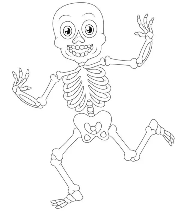 给你的孩子最好的15个骨架涂色页万博体育手机官方网站登录