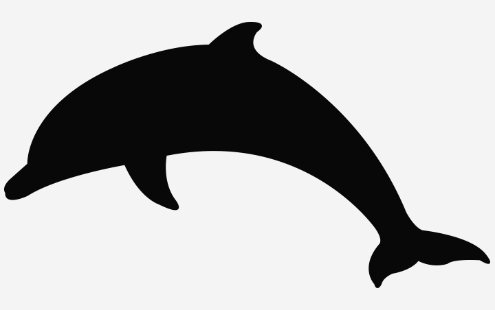 为学龄前儿童设计的海豚剪影工艺
