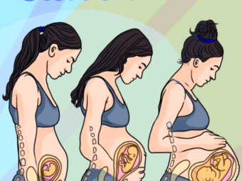 怀孕期间子宫的manbet安卓版大小和它是如何工作的