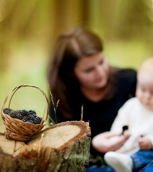 婴儿用黑莓——安全吗?