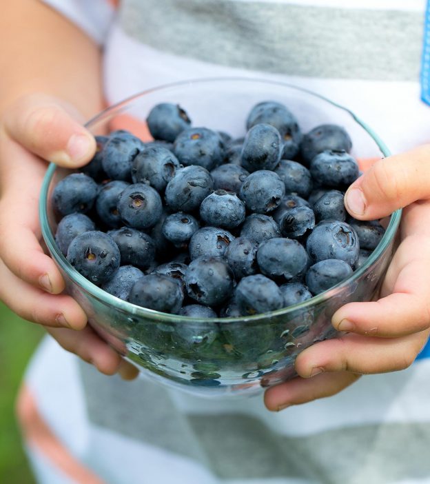 儿童蓝莓:营养成分、益处和食谱