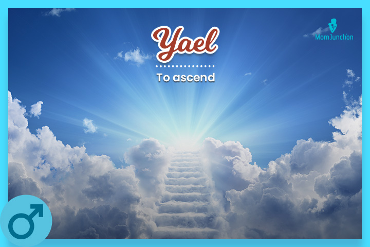 Yael在以色列是一个普通的名字。