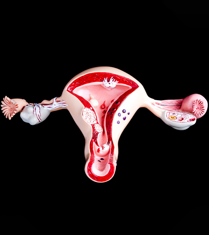 子宫颈o型及其在分娩中的作用