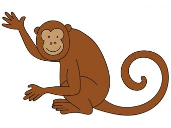 如何画一只猴子一步一步的教程