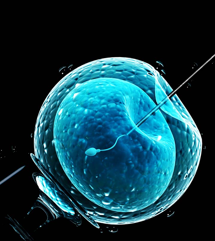体外受精:程序、风险和成功率