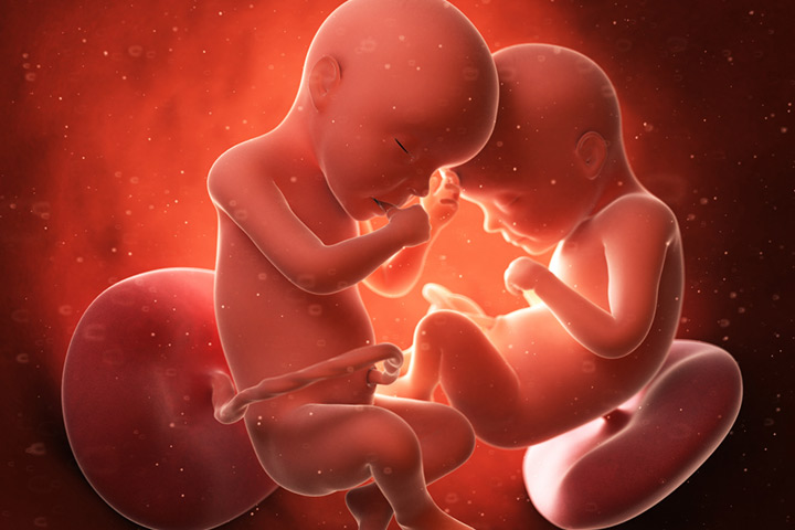双胞胎在怀孕期间开始建立联系manbet安卓版