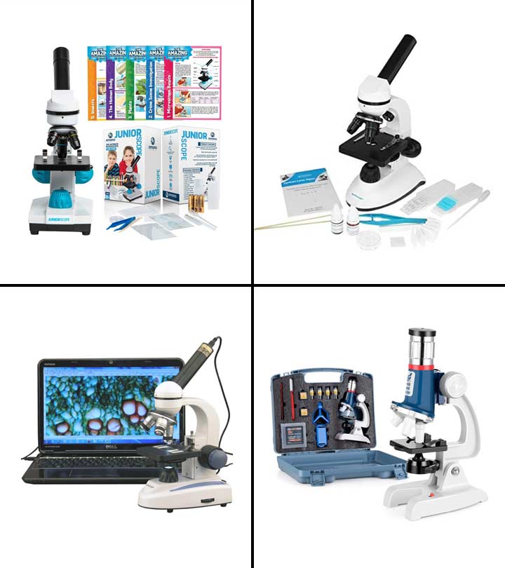 2023年最适合孩子研究的显微镜:终极购买指南
