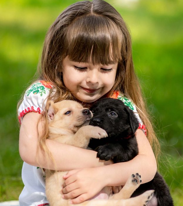 11种最适合孩子的小宠物以及养它们的利弊