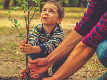 50 Interesting Facts And Information About Plants For Kids