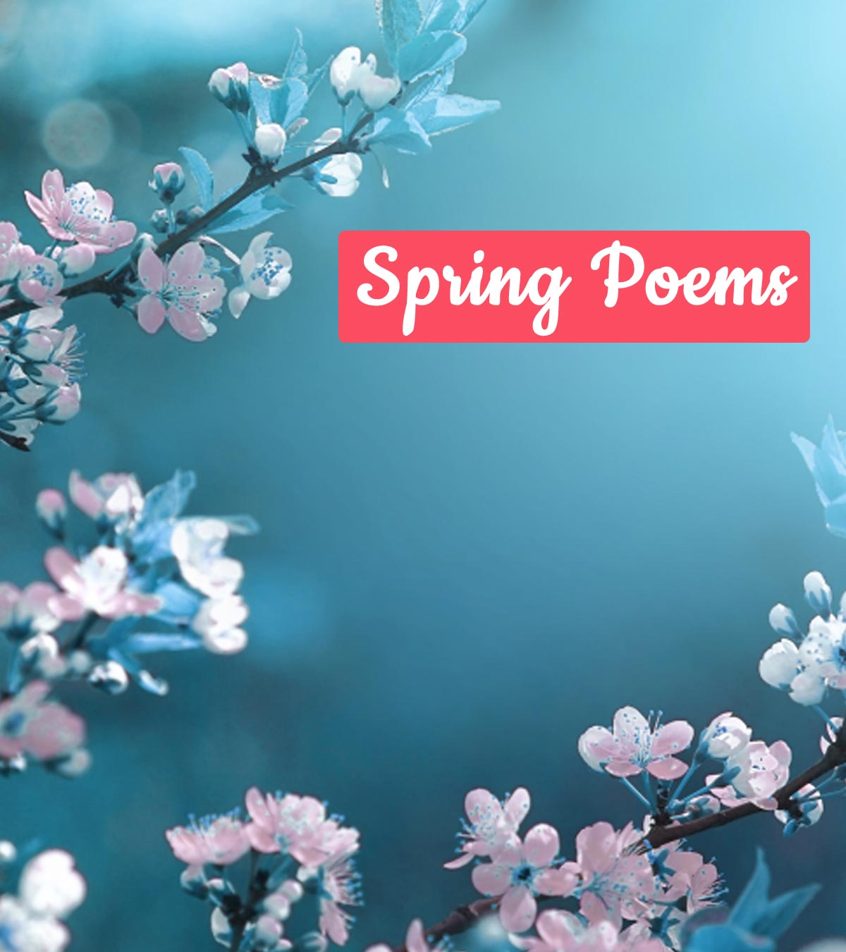 给孩子们的25首清新美丽的春天诗