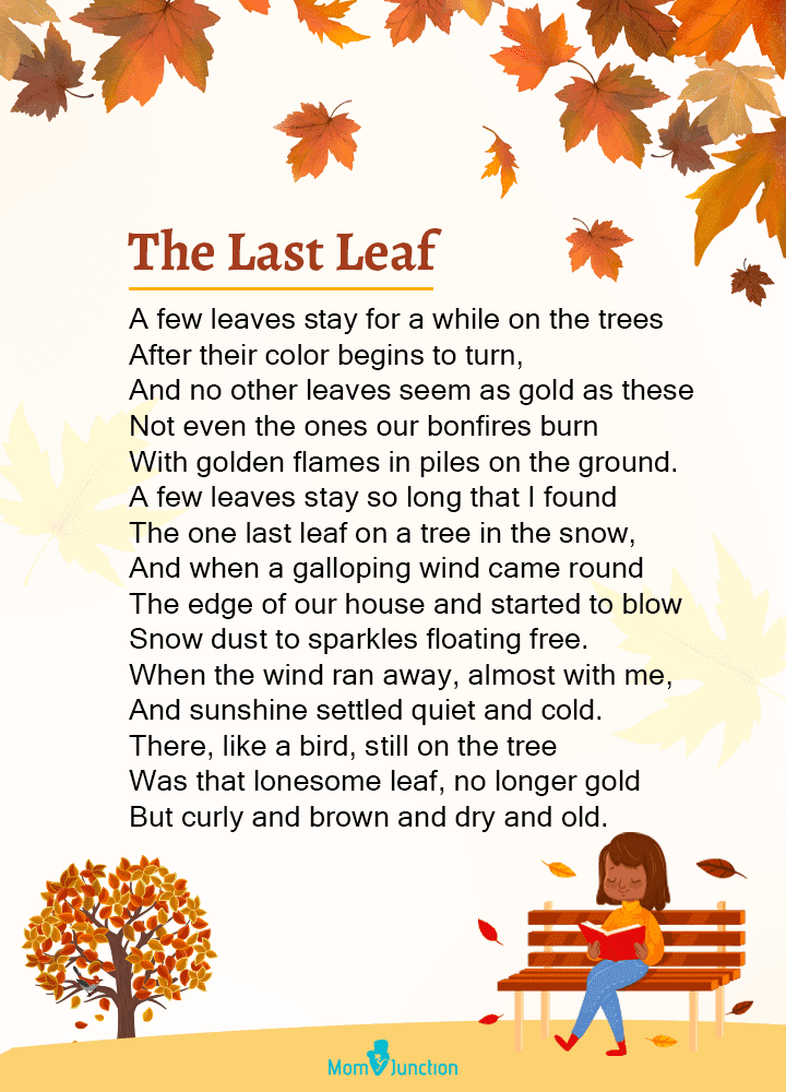最后一片叶子