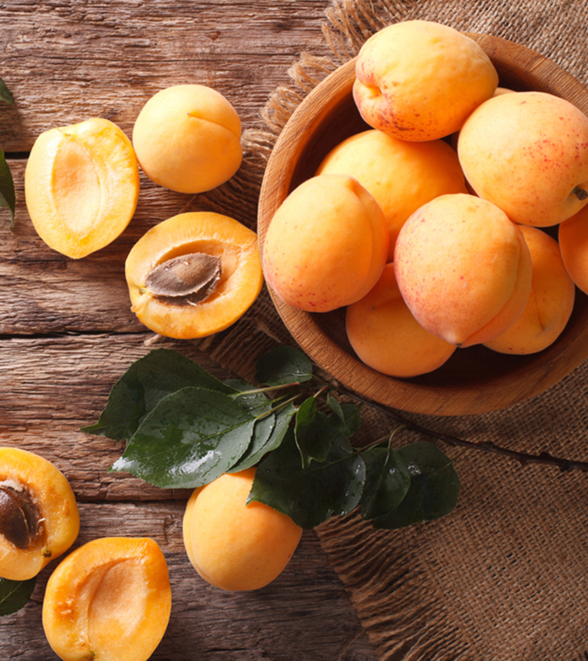 प्रेगनेंसी में खुबानी के फायदे और नुकसान  | Apricot Benefits In Pregnancy In Hindi