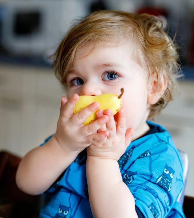 给婴儿吃梨:什么时候介绍，好处和食谱