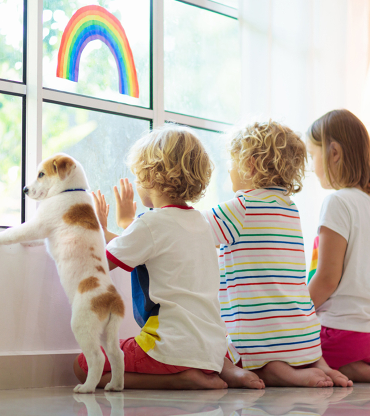 当你的孩子有狗的时候，你会学到7种美德