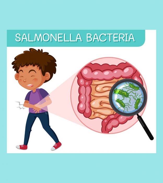 儿童沙门氏菌感染:体征、原因和治疗