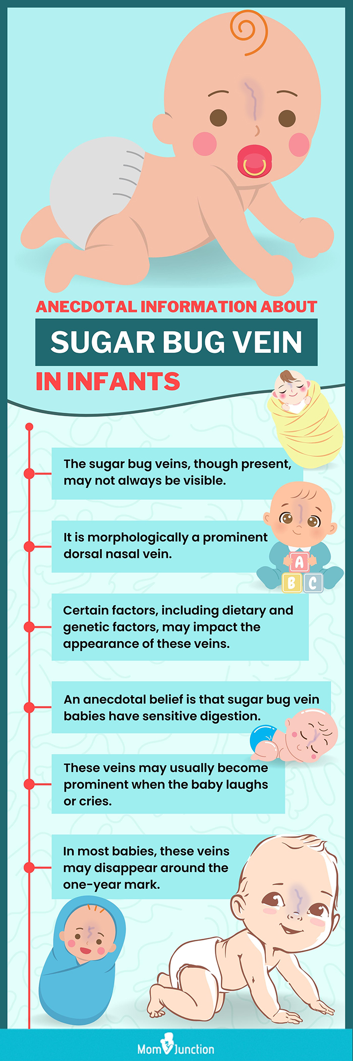 关于婴儿糖虫静脉的轶事信息(信息图)