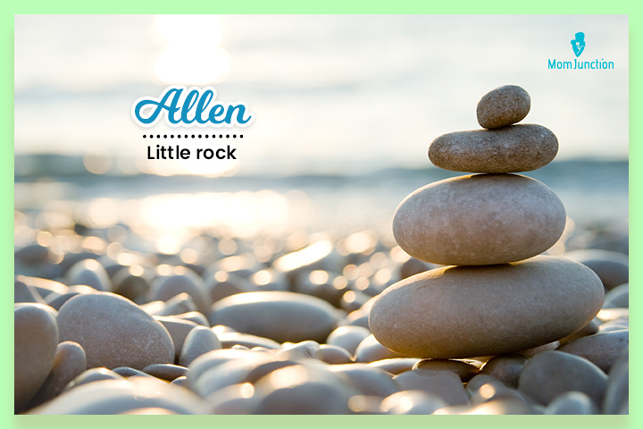 艾伦是一个加拿大姓氏，意思是小岩石