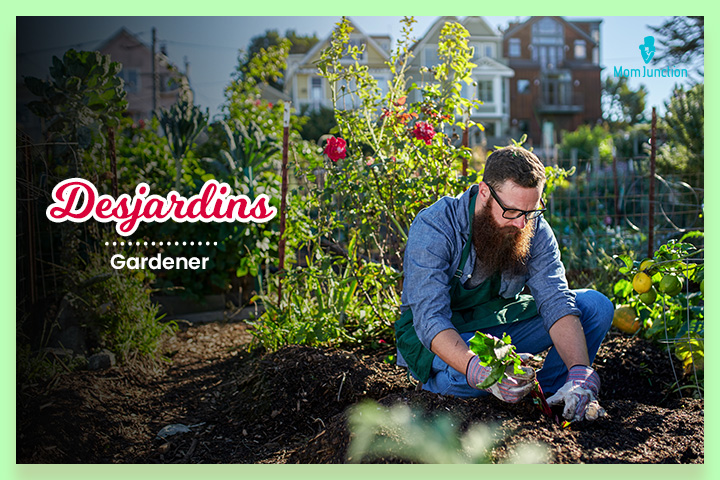 Desjardins这个词起源于法国，意思是园丁