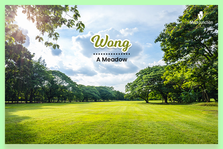 Wong means a field or a meadow