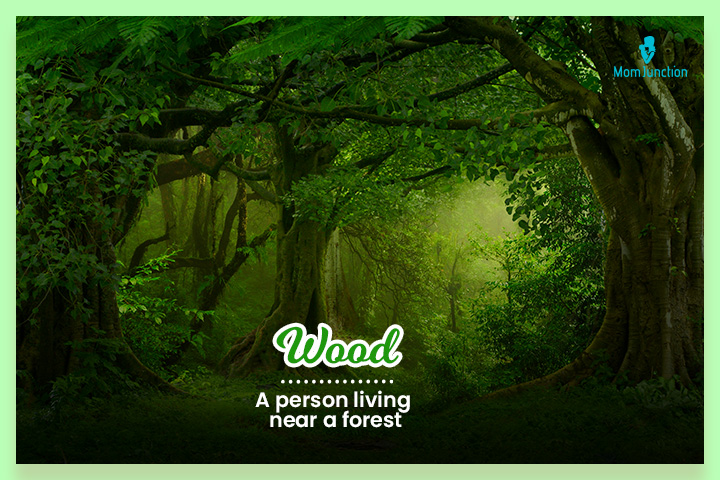 Wood曾经是住在森林附近的人们的姓氏
